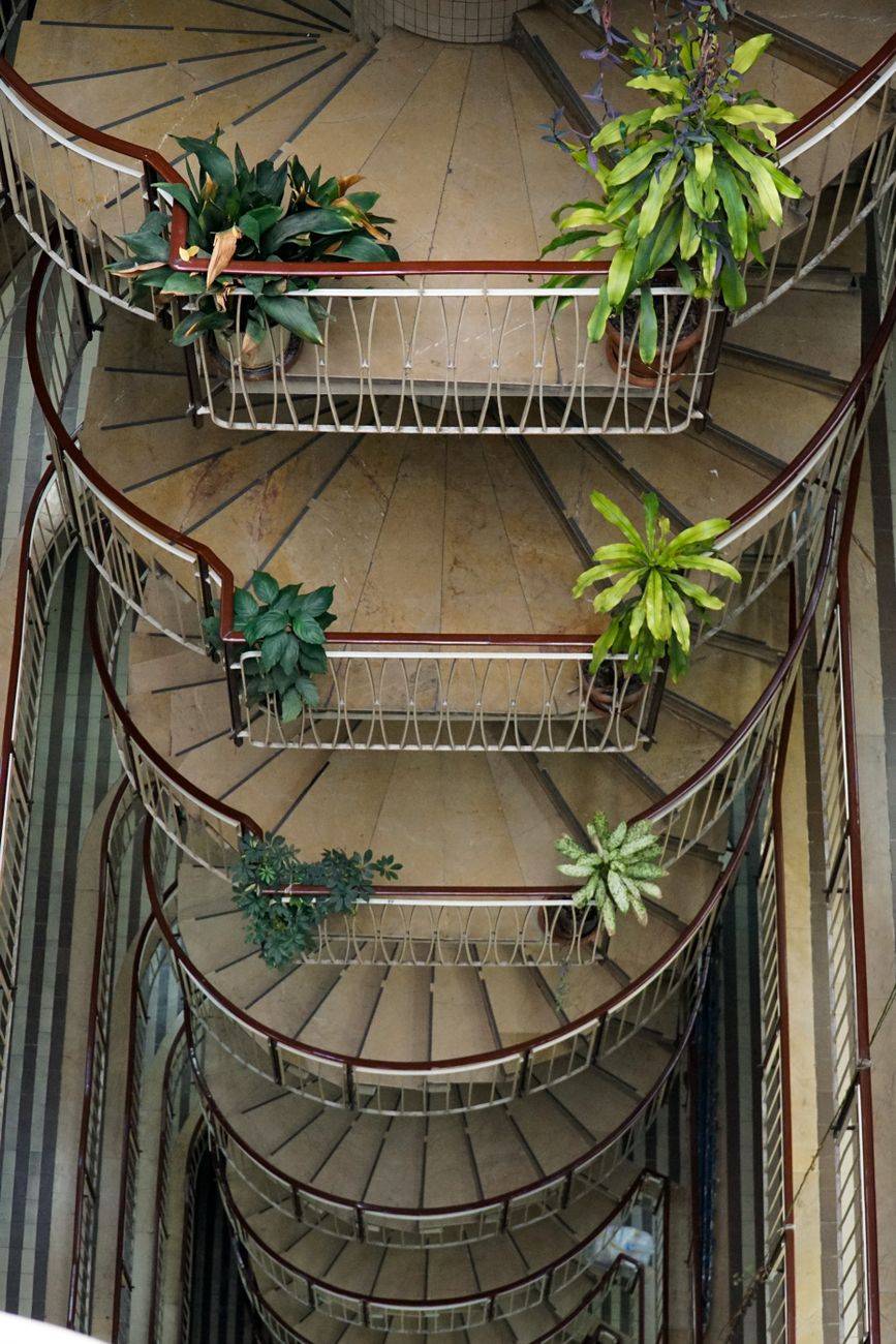 Aerial view of a spiral staircase adorned with vibrant green plants.