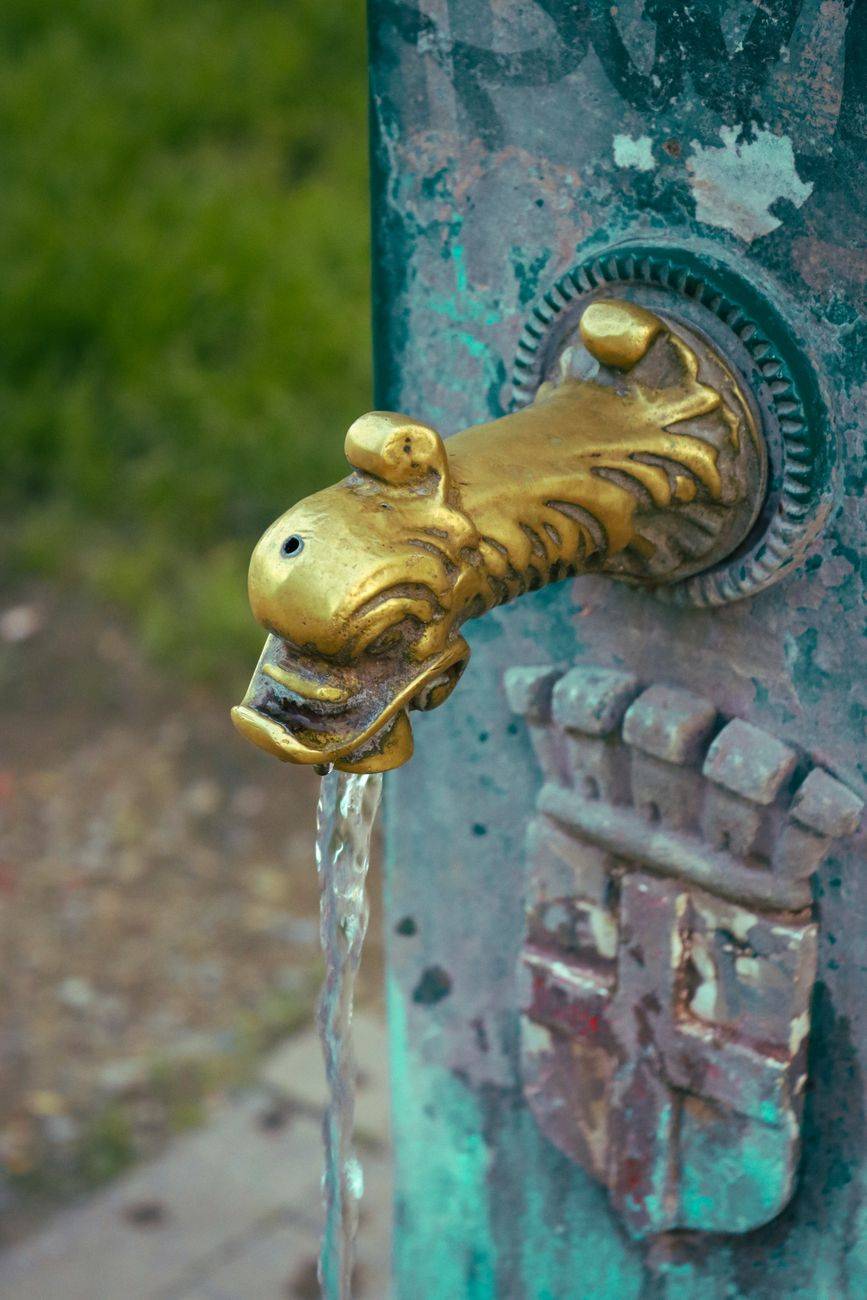 Vintage dragon-shaped water fountain spout with flowing water outdoors.