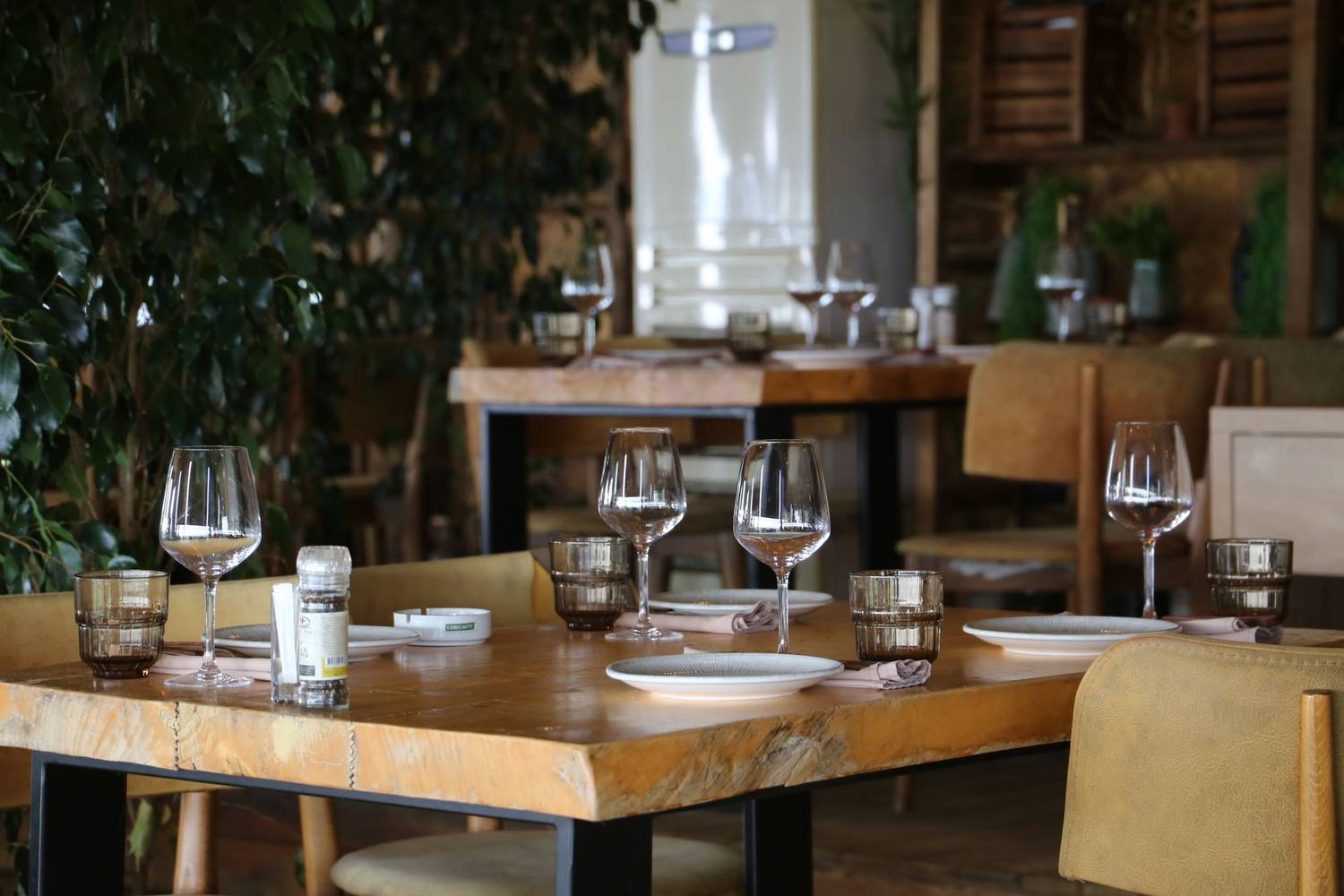 Charming restaurant interior with elegantly set tables and leafy decor.