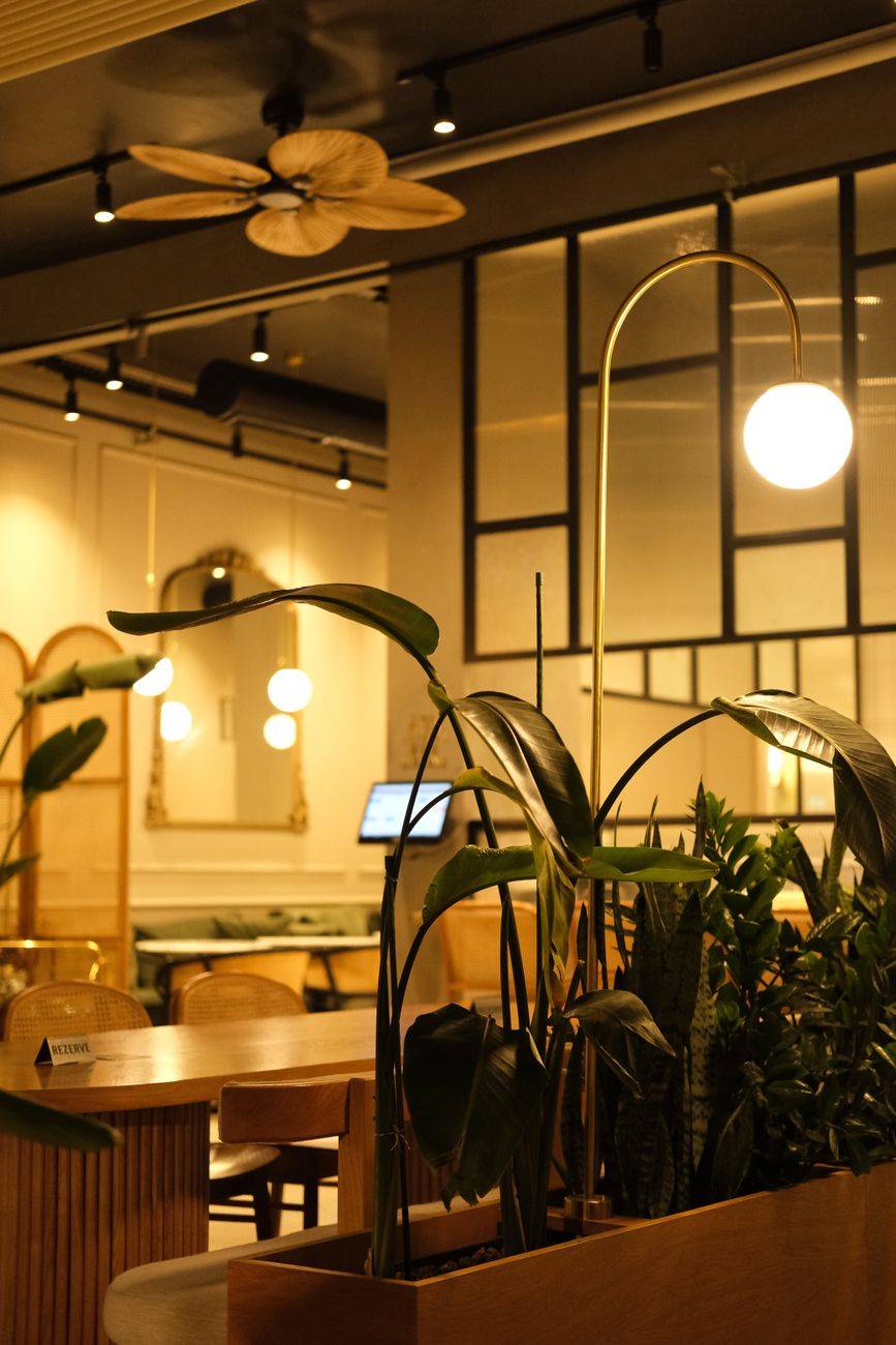 Cozy restaurant interior featuring plants and modern lighting creating a warm ambiance.