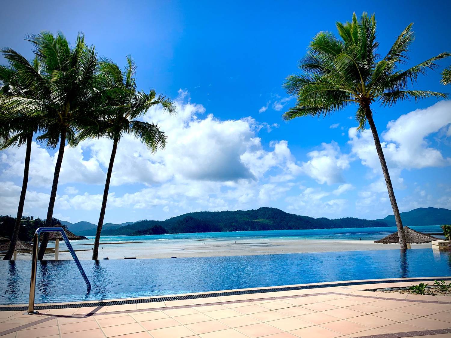 Stunning view of a tropical infinity pool overlooking the Whitsundays' pristine beaches.