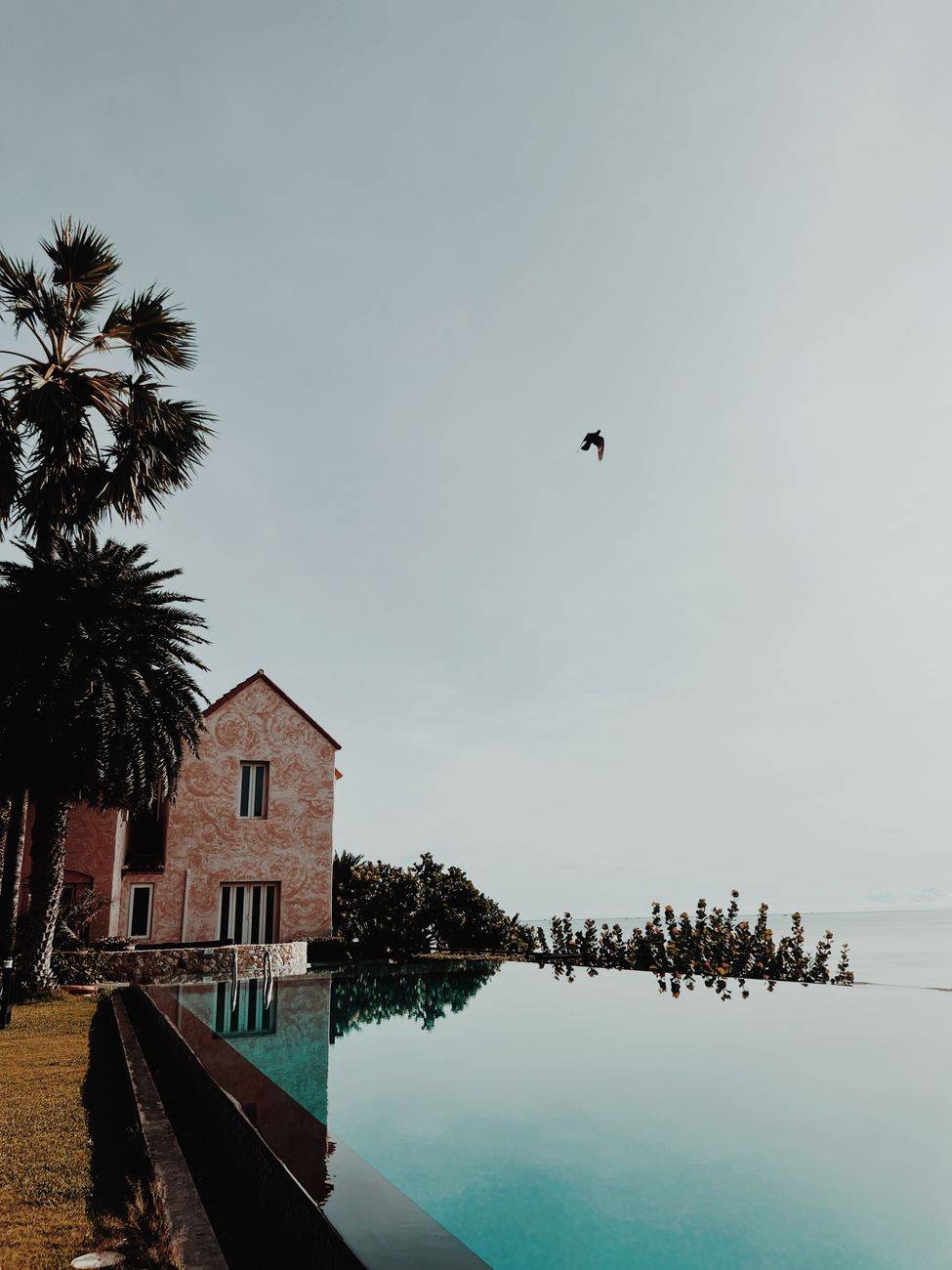 Tranquil villa by infinity pool surrounded by palms, ideal for relaxation.