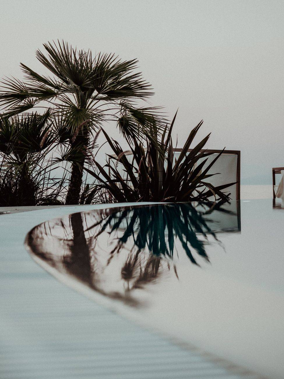 Peaceful swimming pool scene with palm reflections during twilight, capturing a serene resort atmosphere.