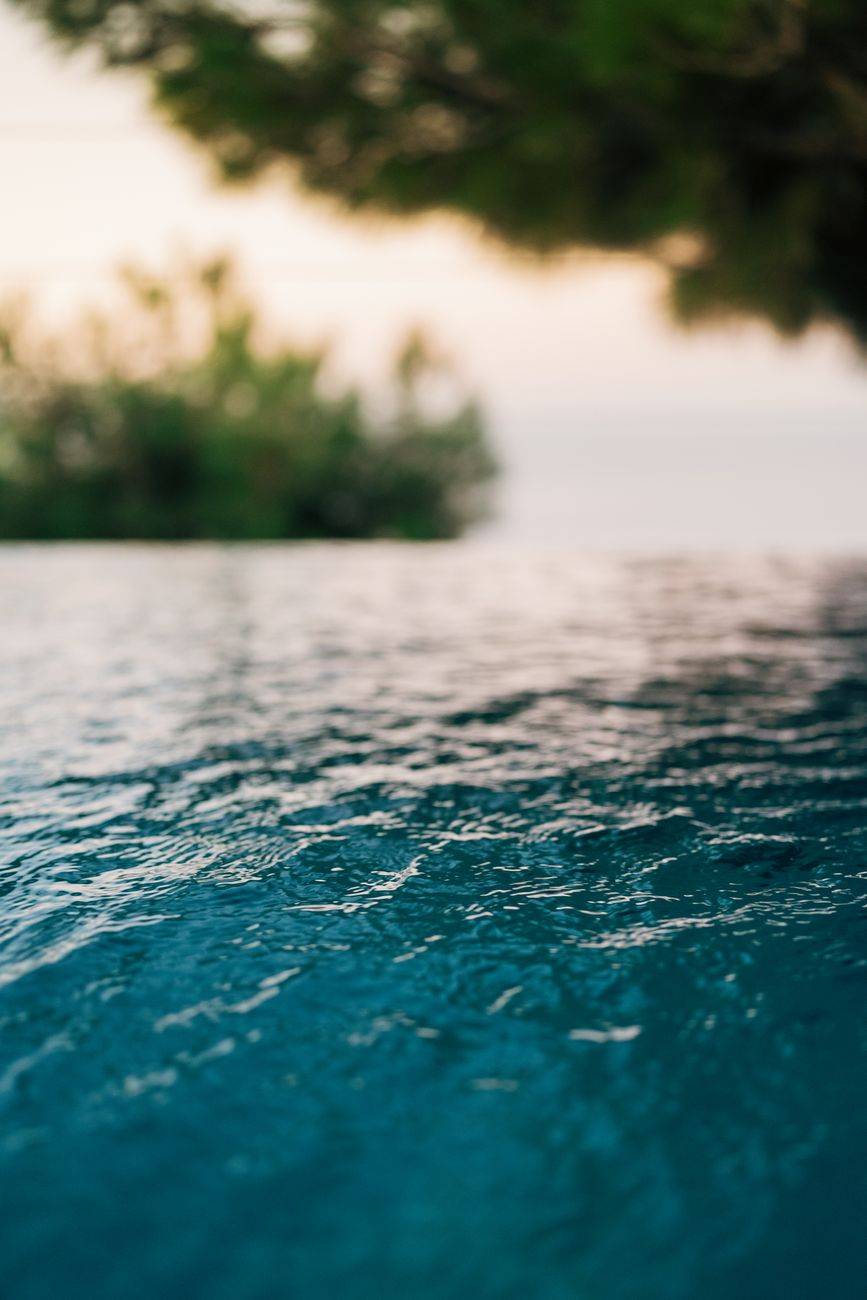 Tranquil view of an infinity pool and lush trees with Aegean Sea backdrop in Muğla, Türkiye.