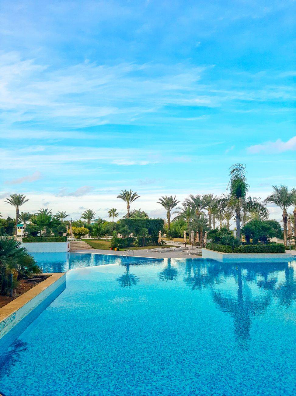 Stunning view of infinity pool surrounded by lush palm trees and vibrant blue sky.