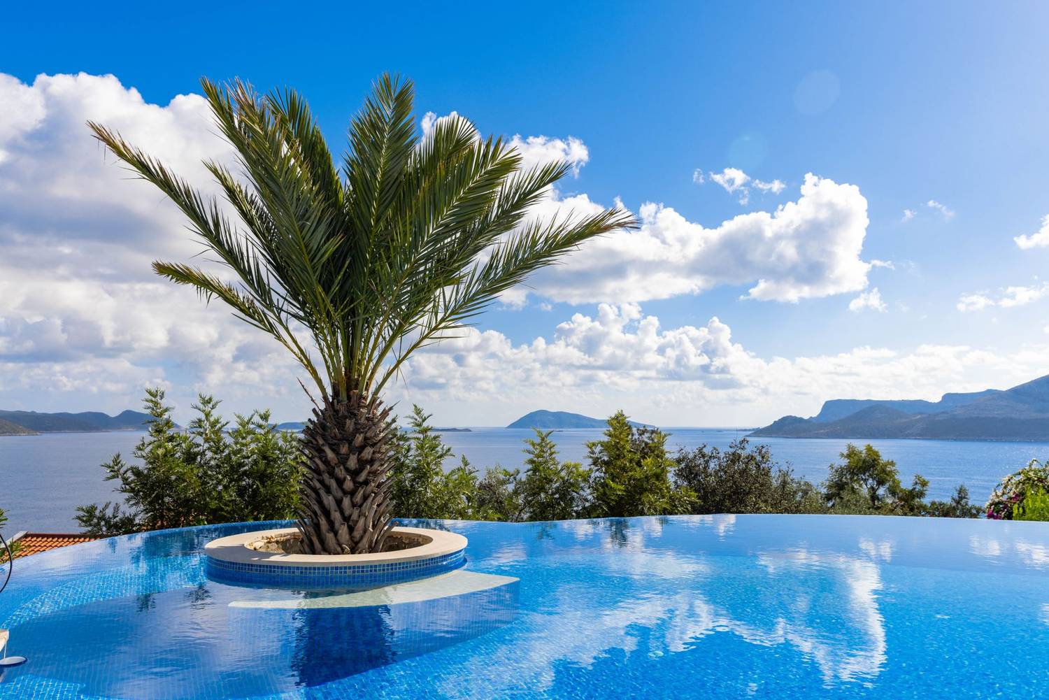 Stunning view of a palm tree by an infinity pool overlooking a bright blue ocean.