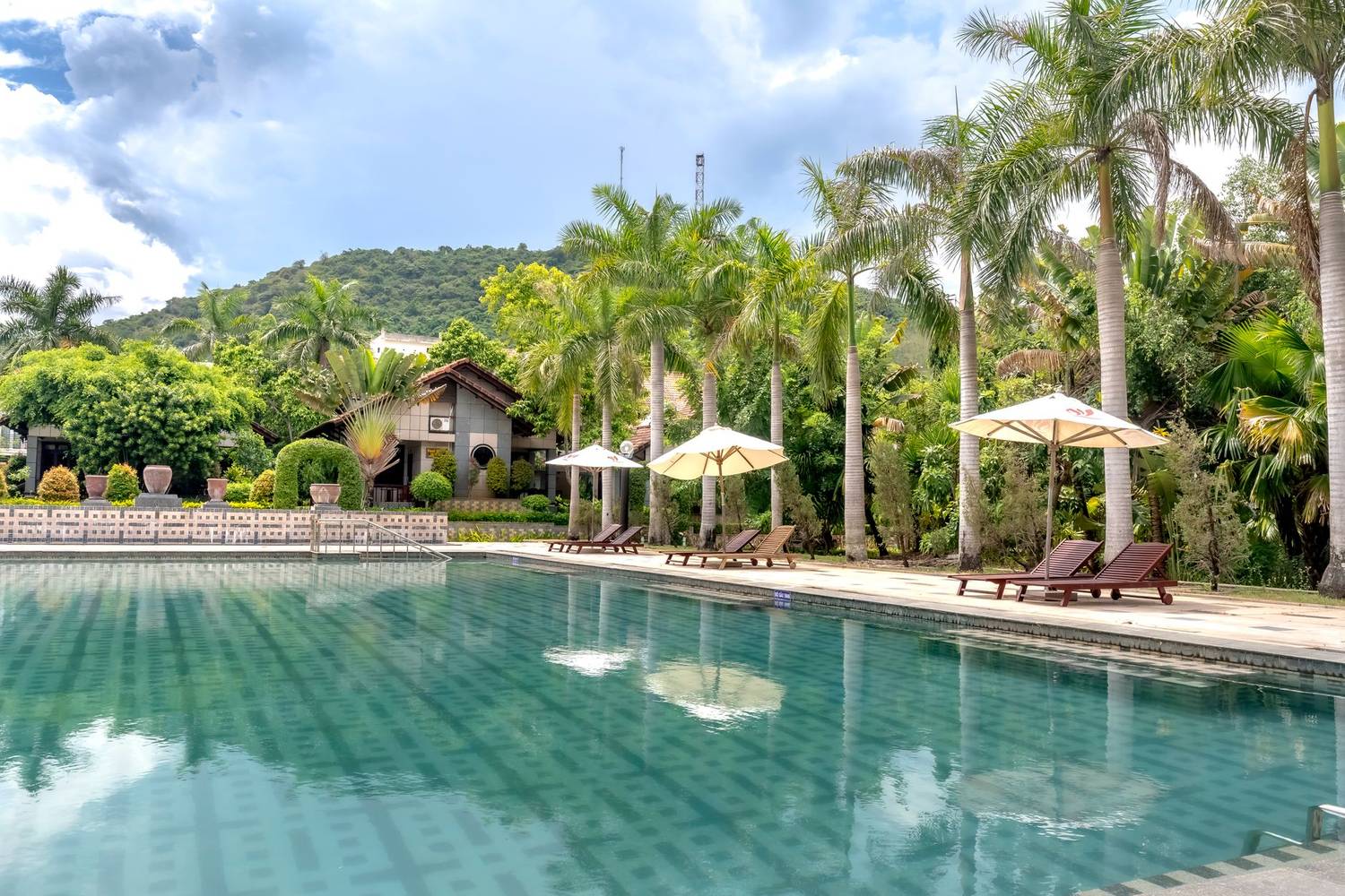 Serene tropical poolside setting with palm trees and loungers under umbrellas.