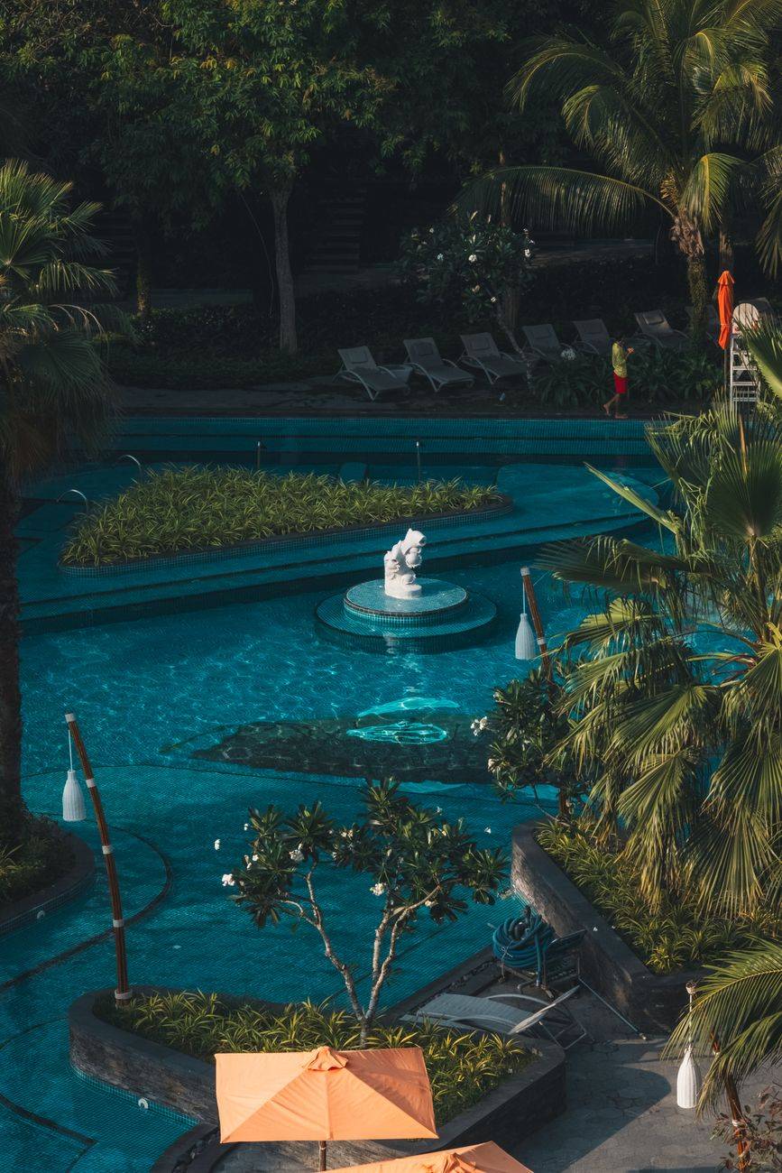 Aerial view of a luxurious resort pool surrounded by vibrant greenery and palm trees, perfect for relaxation.