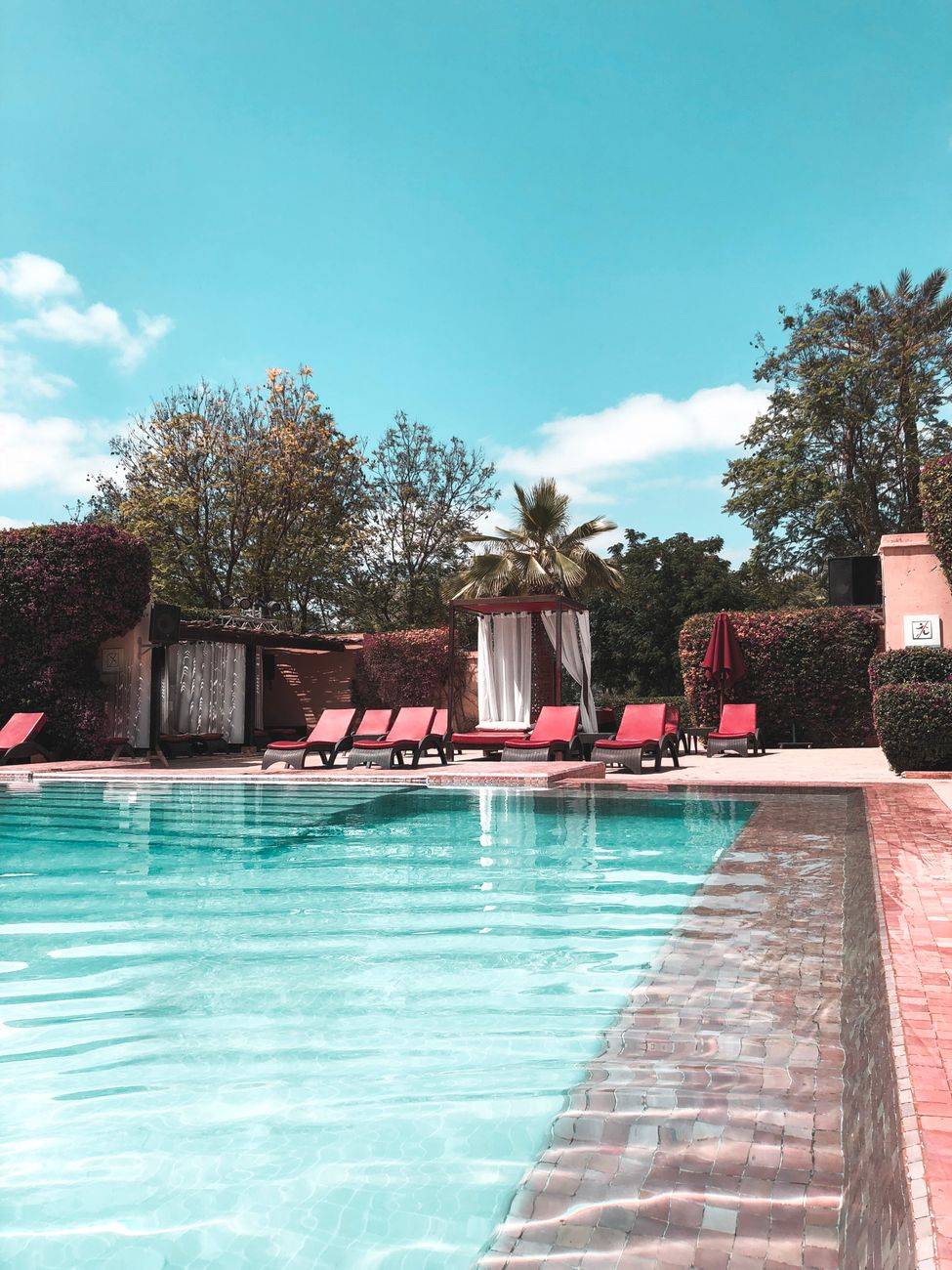 A tranquil resort swimming pool surrounded by lush greenery and red loungers under a bright sky.