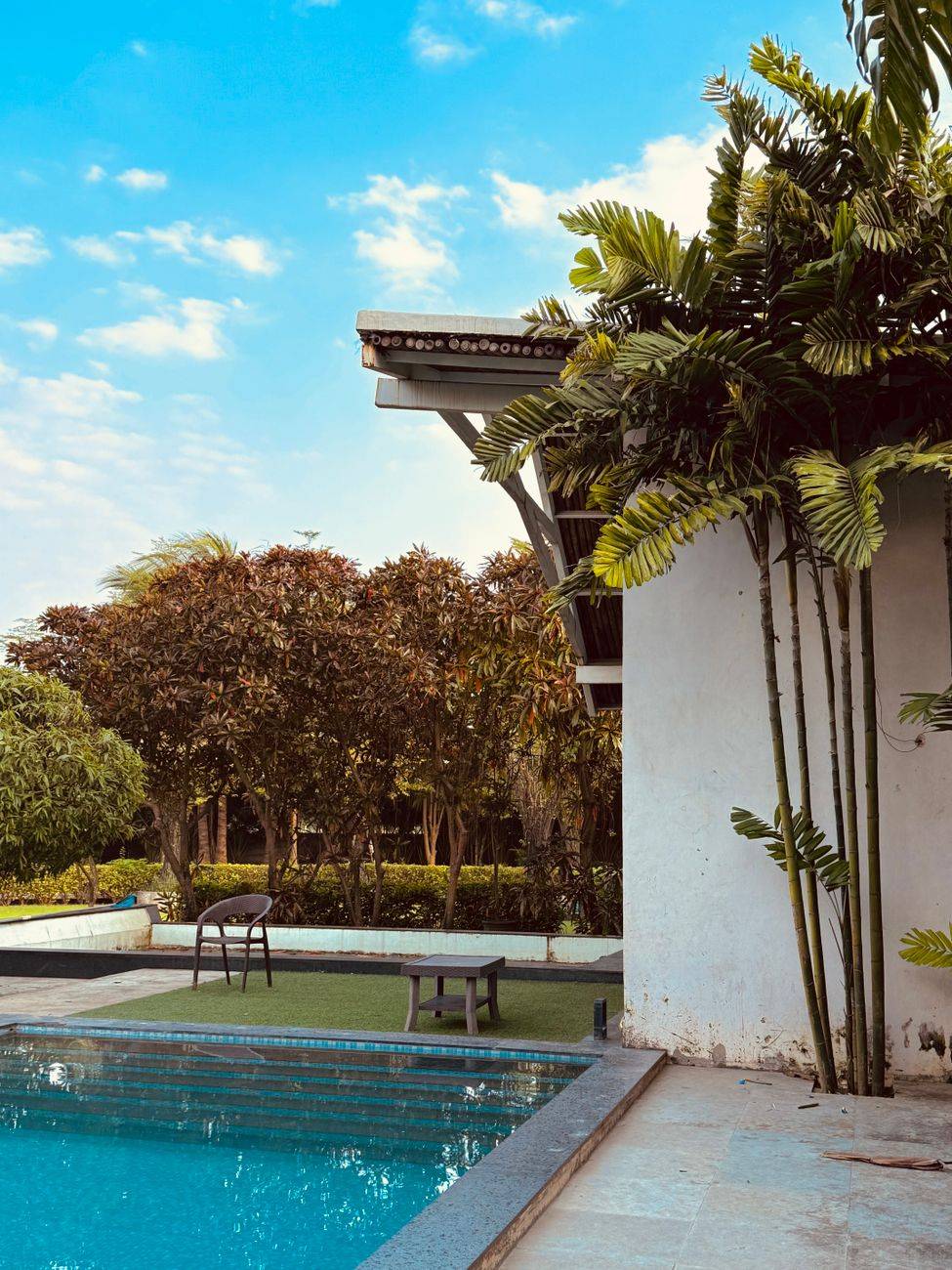 Relaxing outdoor scene with pool, tropical plants, and blue sky.